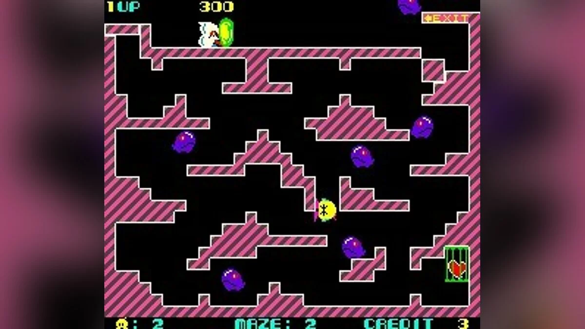 Скриншоты из Chack'n Pop / Картинка 10