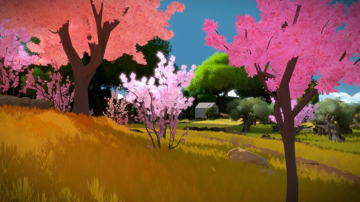 Скриншоты из The Witness / Картинка 48