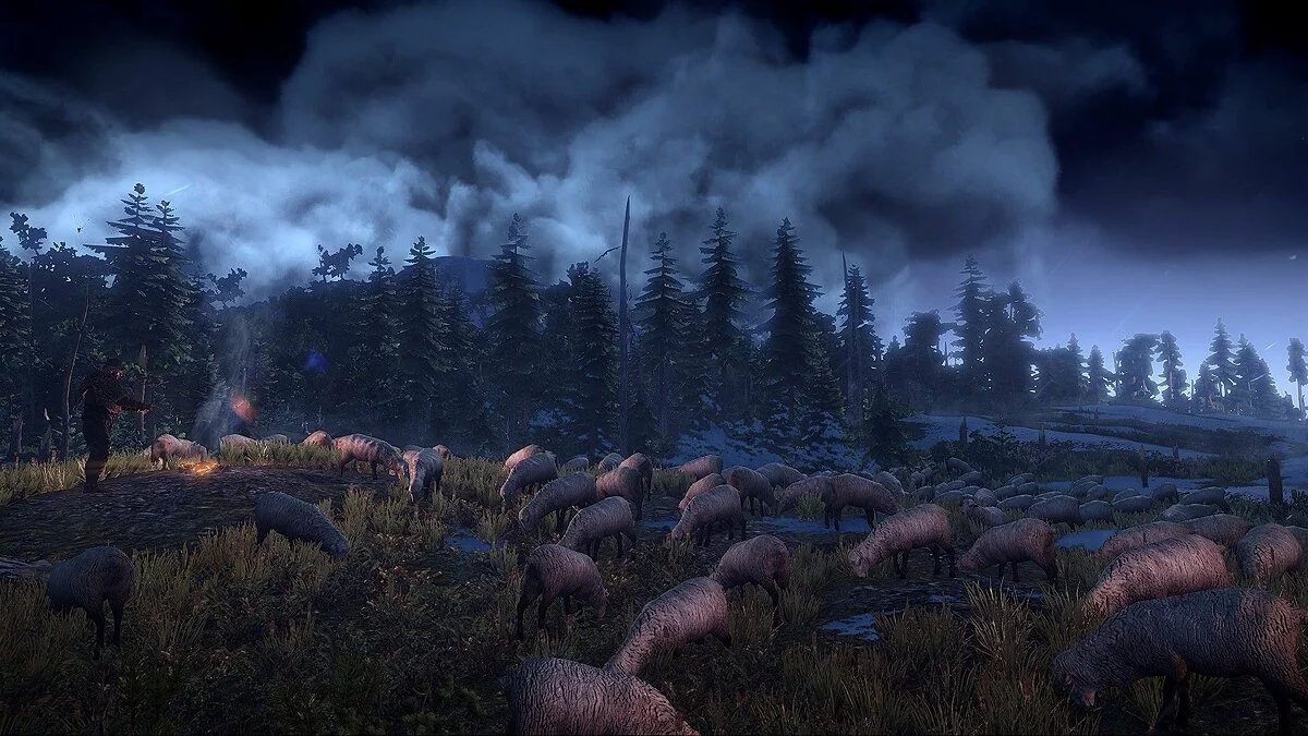Скриншоты из The Witcher 3: Wild Hunt / Картинка 16