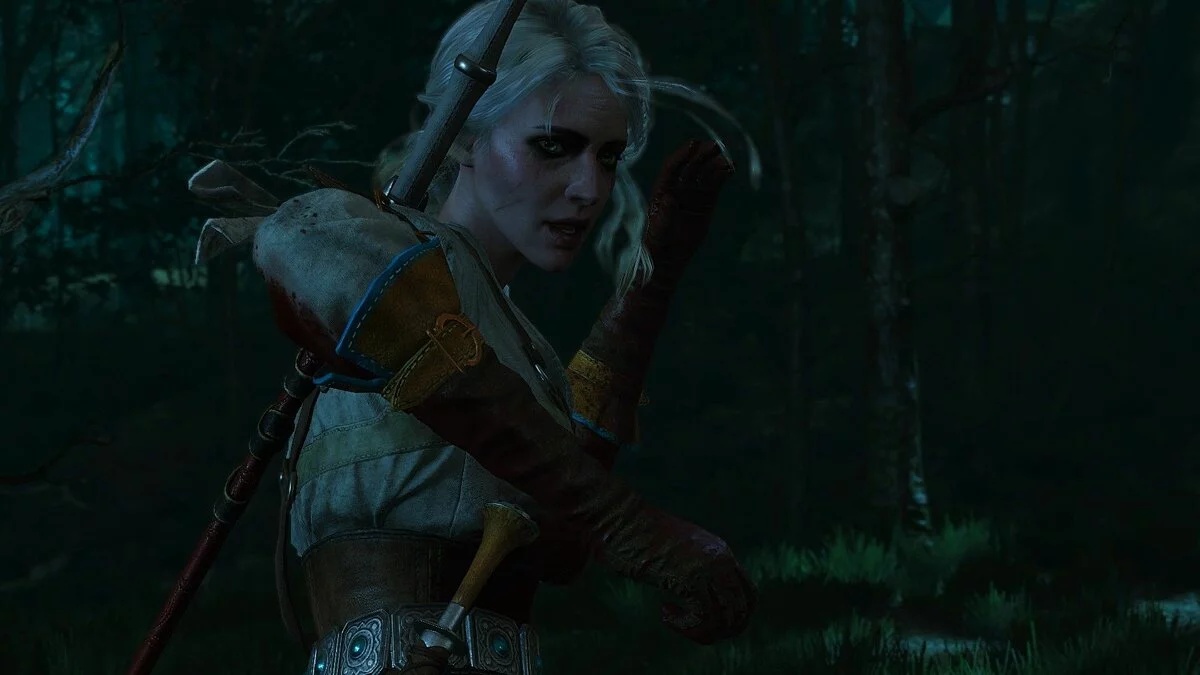 Скриншоты из The Witcher 3: Wild Hunt / Картинка 92