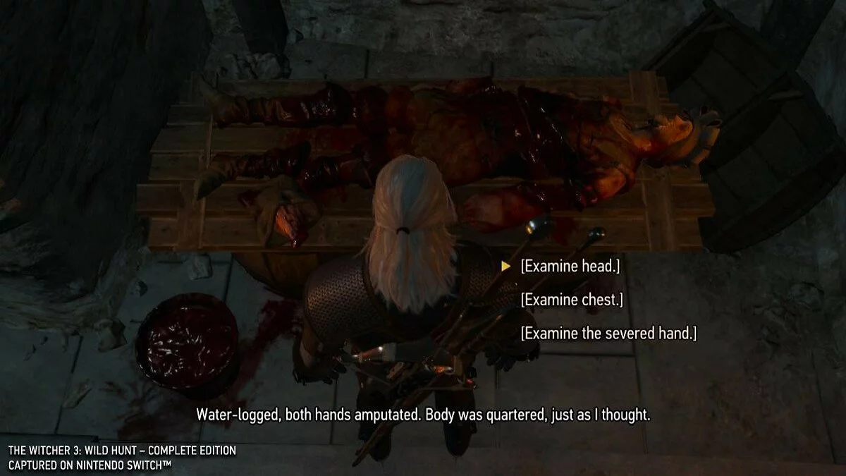 Скриншоты из The Witcher 3: Wild Hunt / Картинка 368