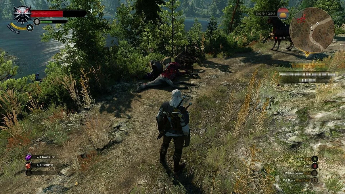 Скриншоты из The Witcher 3: Wild Hunt / Картинка 374