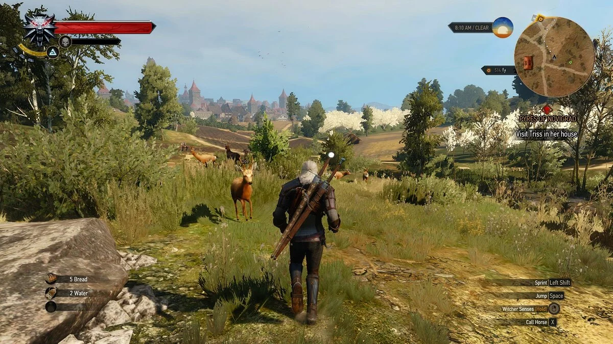 Скриншоты из The Witcher 3: Wild Hunt / Картинка 455
