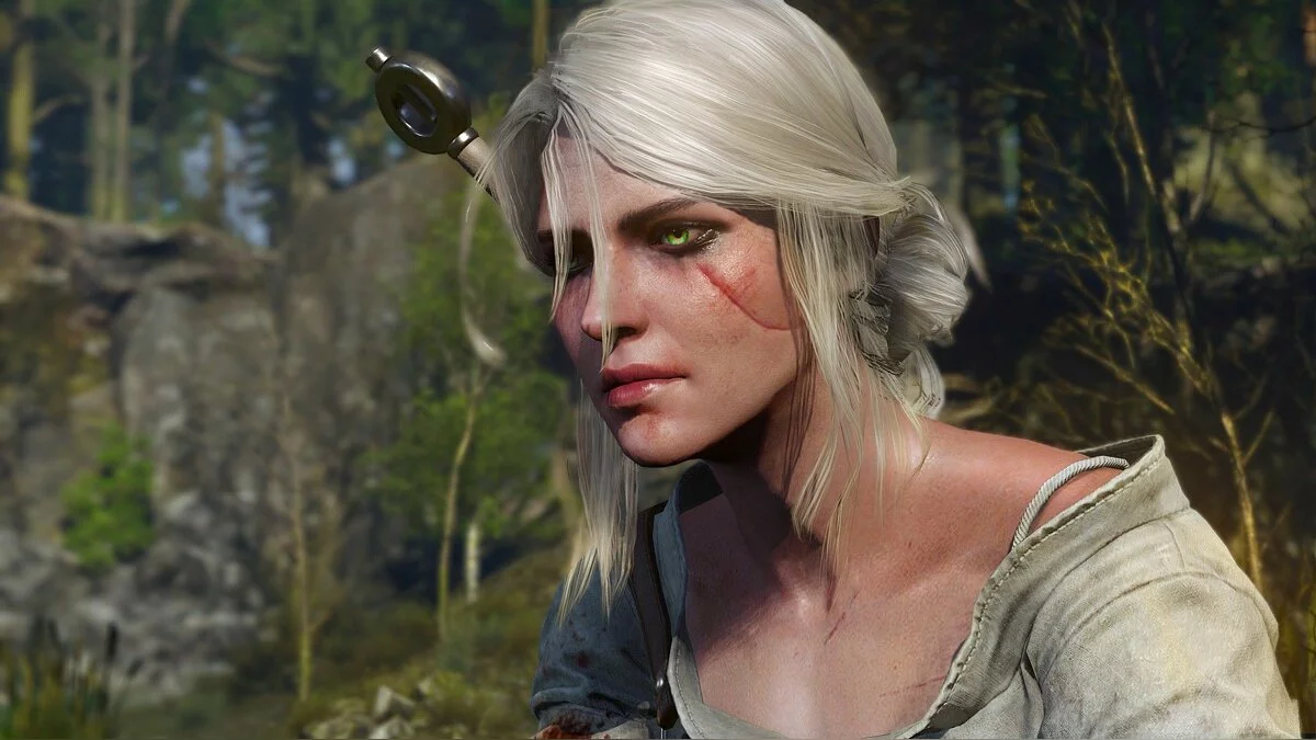 Скриншоты из The Witcher 3: Wild Hunt / Картинка 109