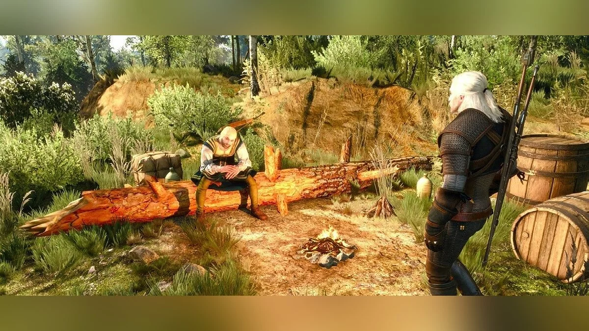 Скриншоты из The Witcher 3: Wild Hunt / Картинка 131