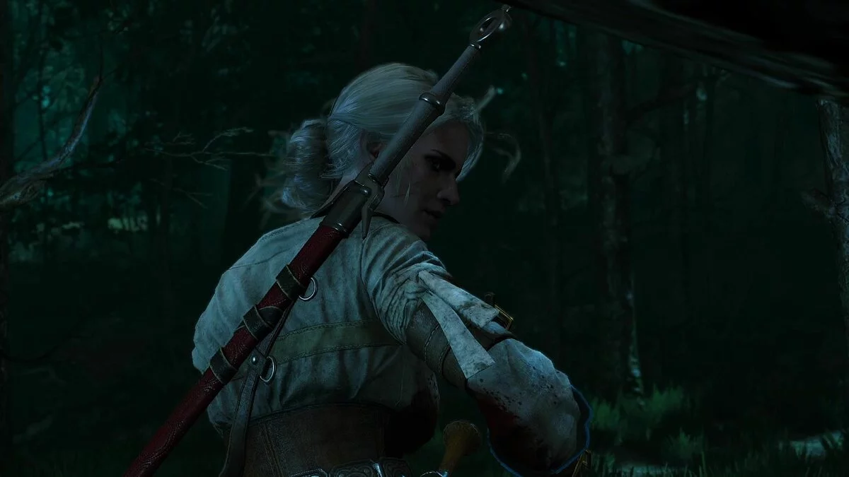 Скриншоты из The Witcher 3: Wild Hunt / Картинка 134