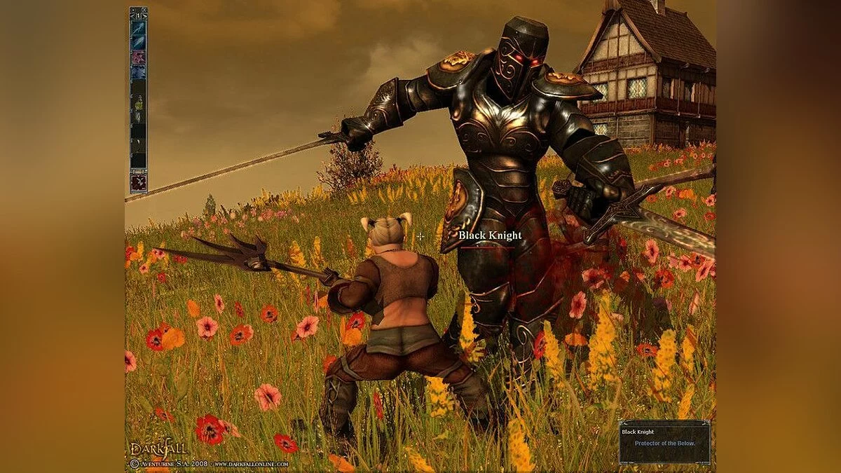 Скриншоты из Darkfall / Картинка 19