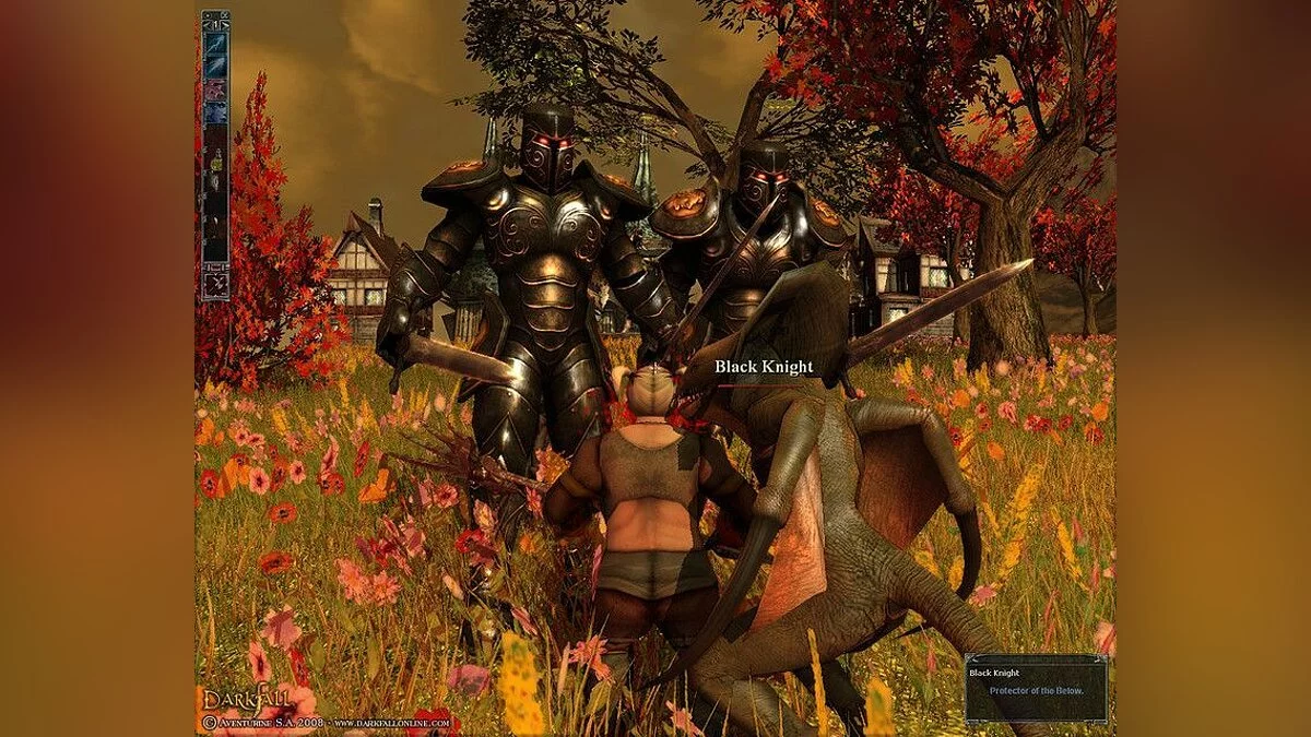 Скриншоты из Darkfall / Картинка 20