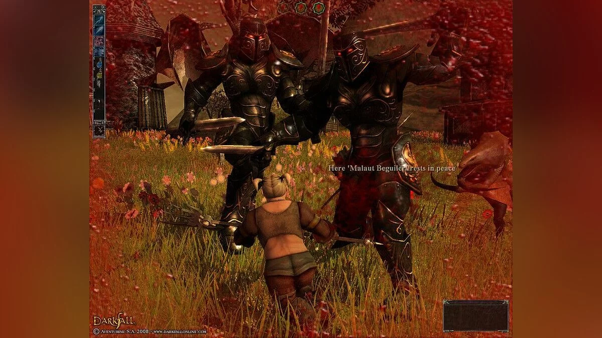 Скриншоты из Darkfall / Картинка 21