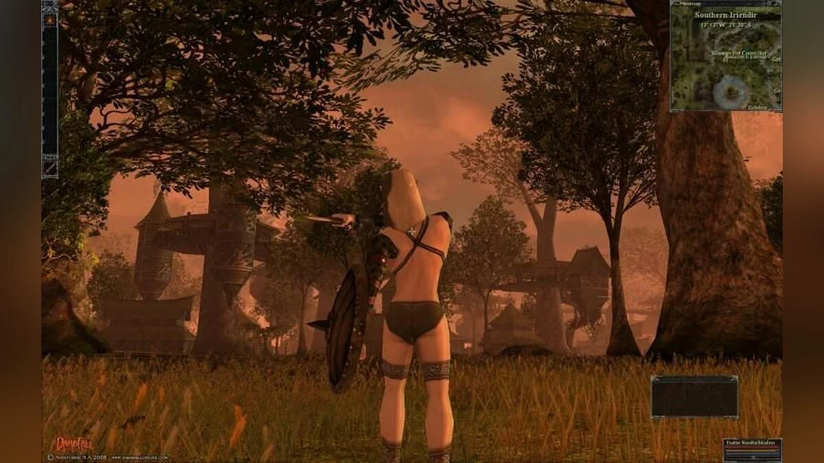 Скриншоты из Darkfall / Картинка 38