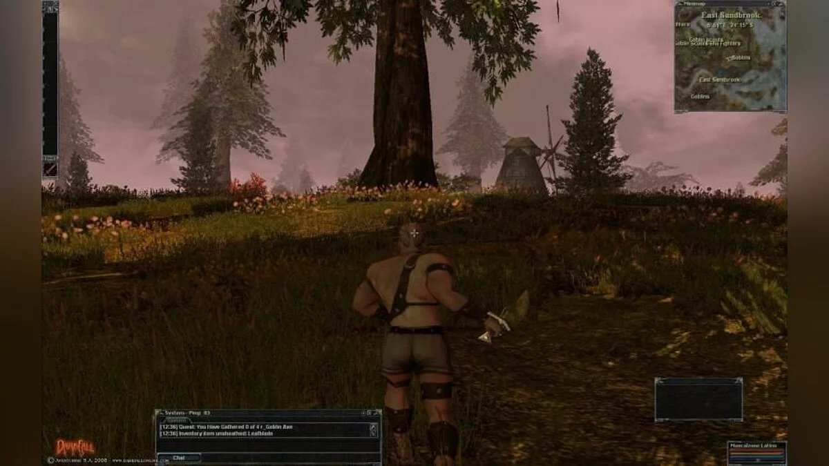 Скриншоты из Darkfall / Картинка 56