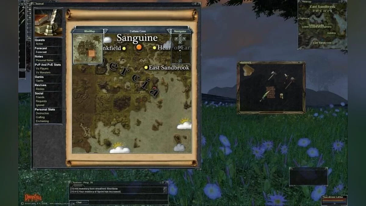 Скриншоты из Darkfall / Картинка 57