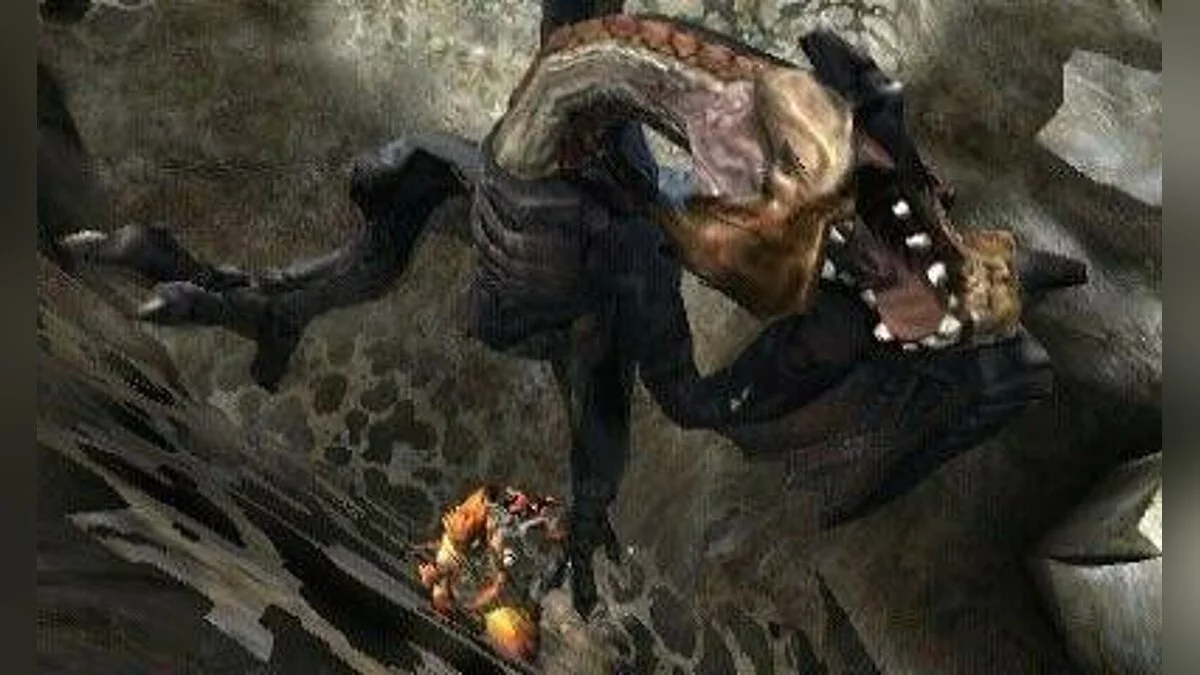 Скриншоты из Monster Hunter 4 / Картинка 45