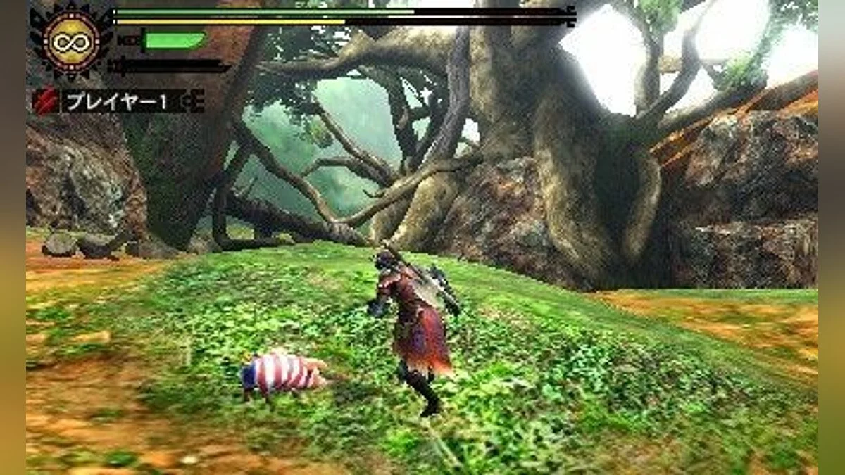 Скриншоты из Monster Hunter 4 / Картинка 21