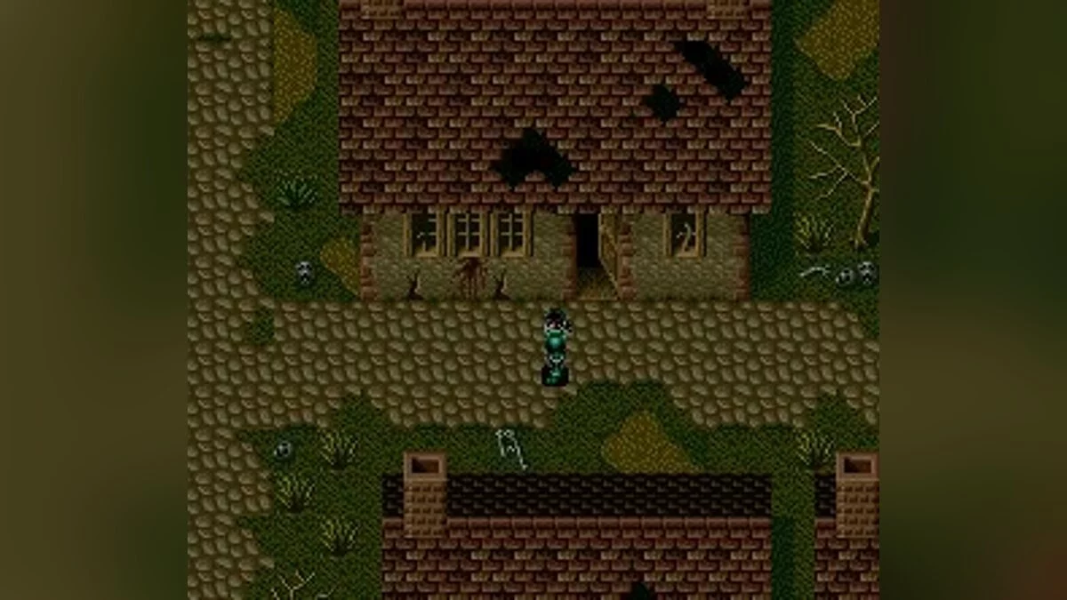 Скриншоты из Dark Kingdom / Картинка 11