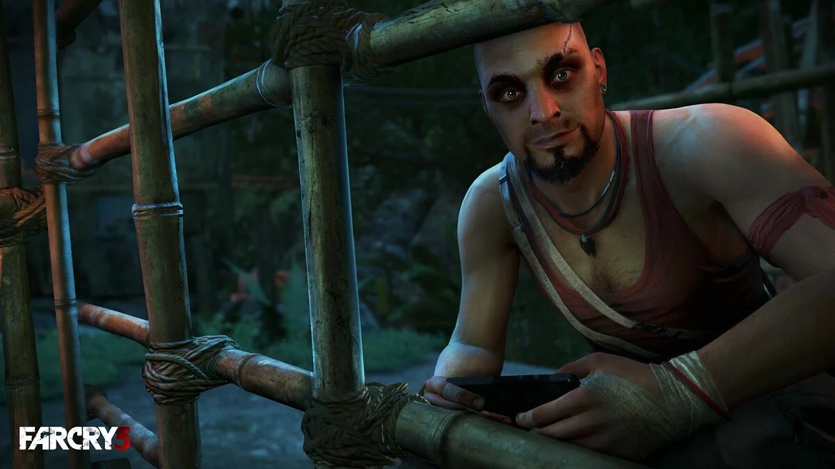 Скриншоты из Far Cry 3 / Картинка 50