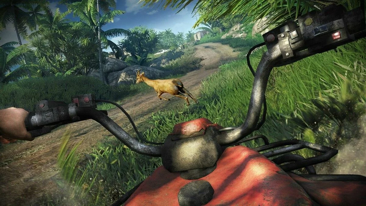 Скриншоты из Far Cry 3 / Картинка 33
