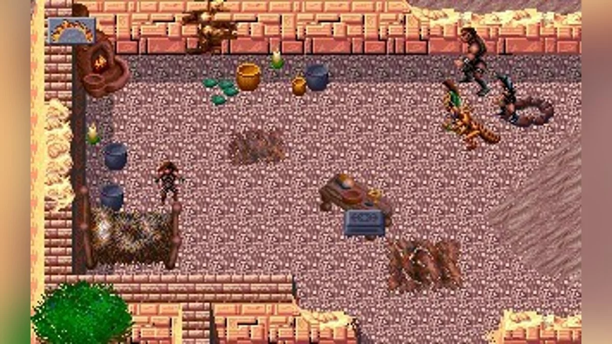 Скриншоты из Dark Sun: Shattered Lands / Картинка 32