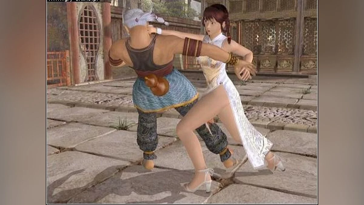 Скриншоты из Dead or Alive 3 / Картинка 84