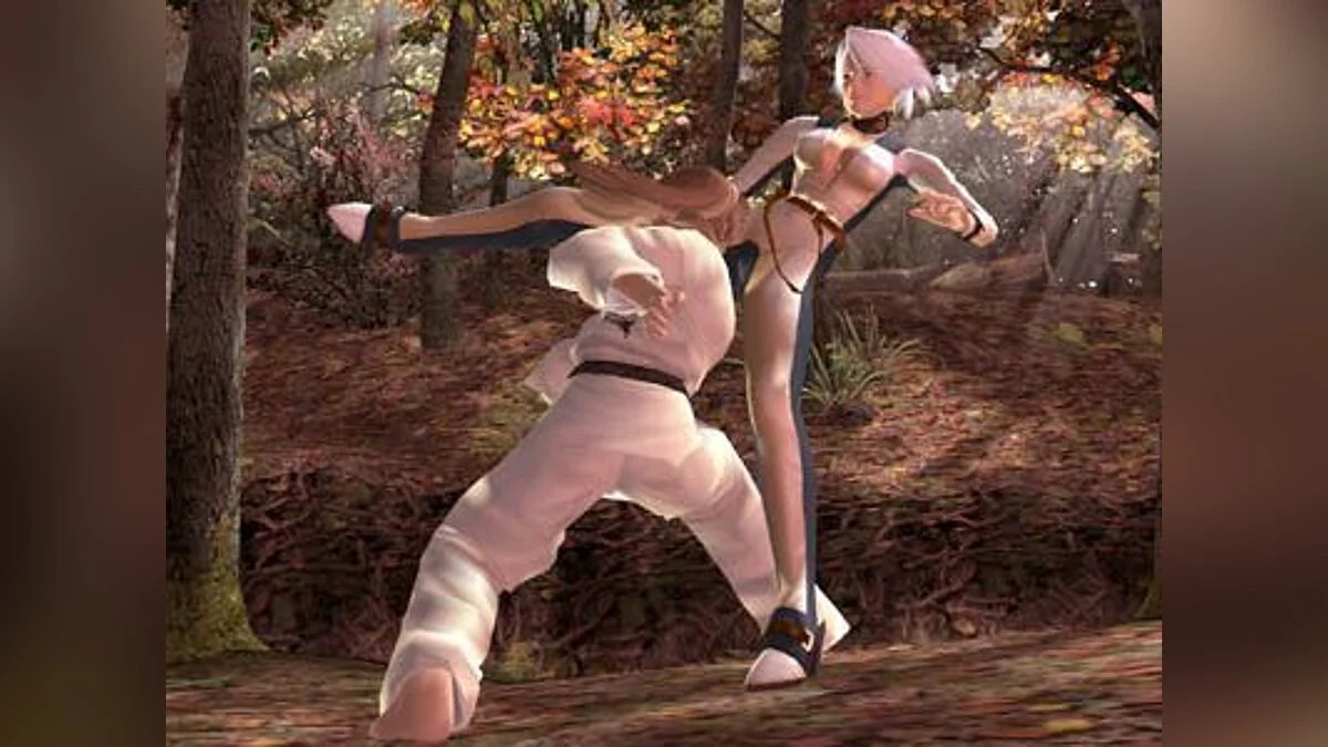 Скриншоты из Dead or Alive 3 / Картинка 24