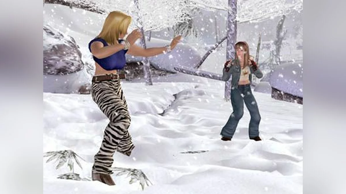 Скриншоты из Dead or Alive 3 / Картинка 30