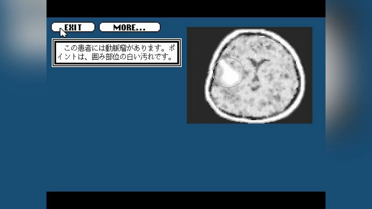 Скриншоты из Life & Death 2: The Brain / Картинка 46