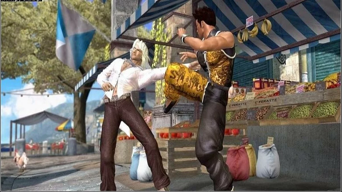 Скриншоты из Dead or Alive 4 / Картинка 106