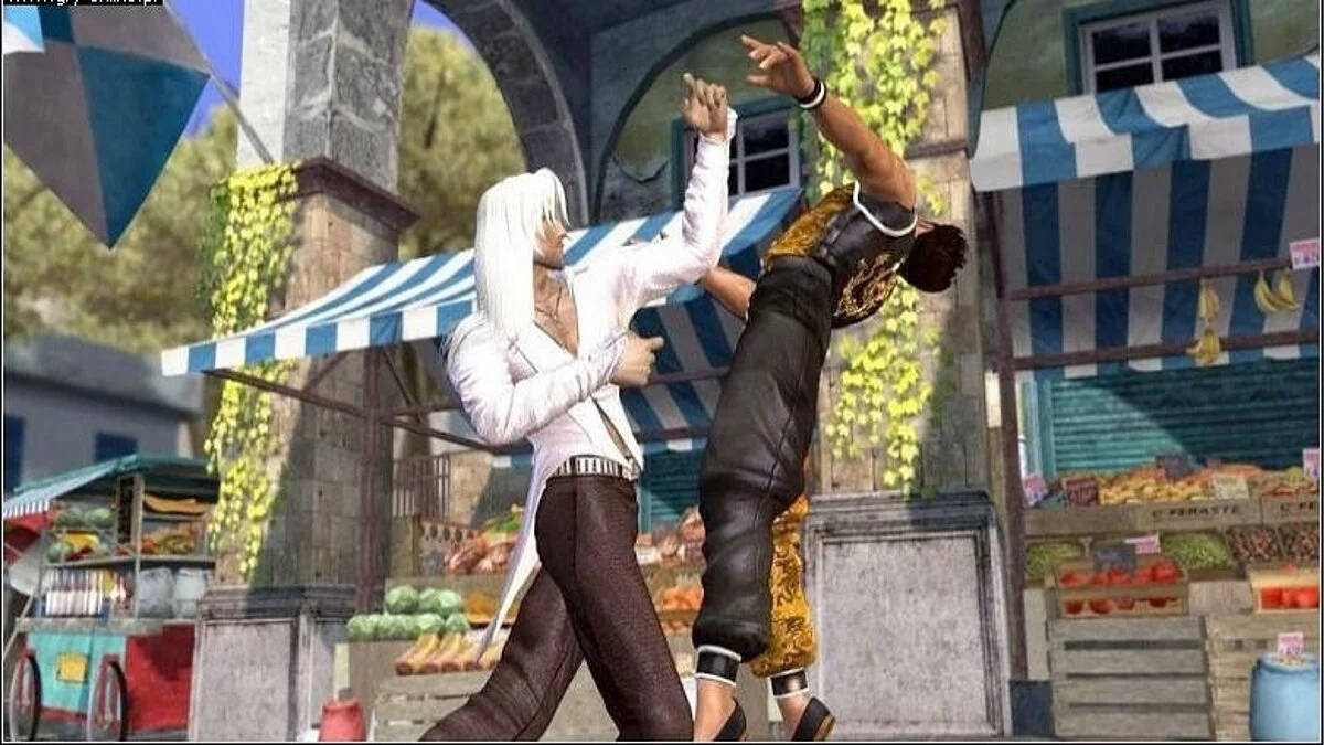 Скриншоты из Dead or Alive 4 / Картинка 109