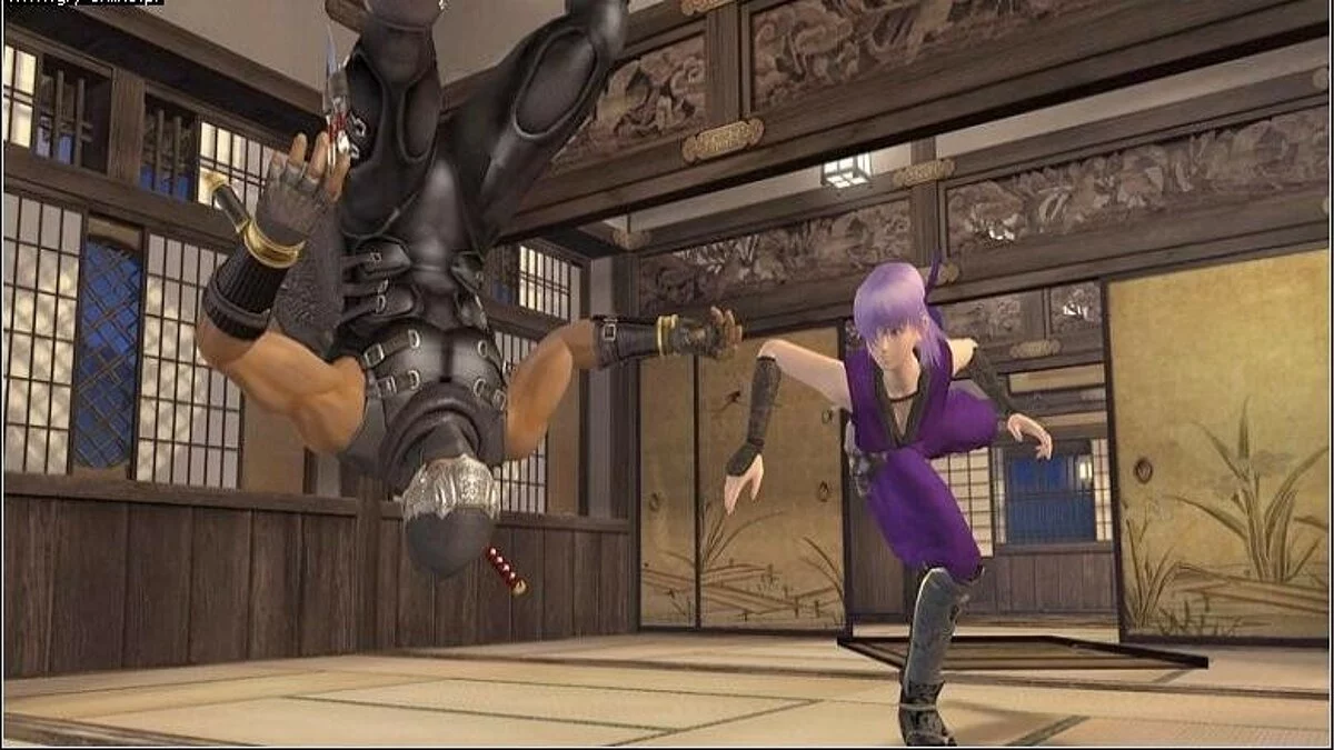 Скриншоты из Dead or Alive 4 / Картинка 111