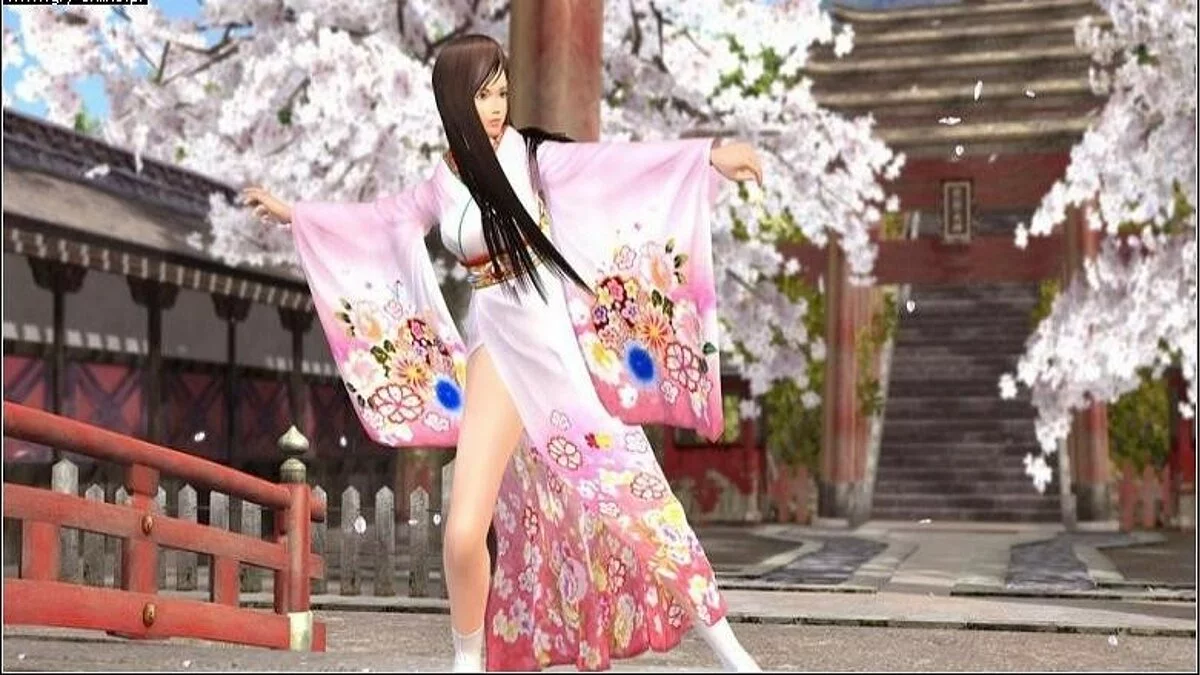 Скриншоты из Dead or Alive 4 / Картинка 113