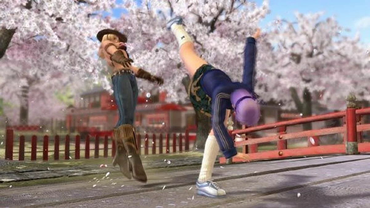 Скриншоты из Dead or Alive 4 / Картинка 2