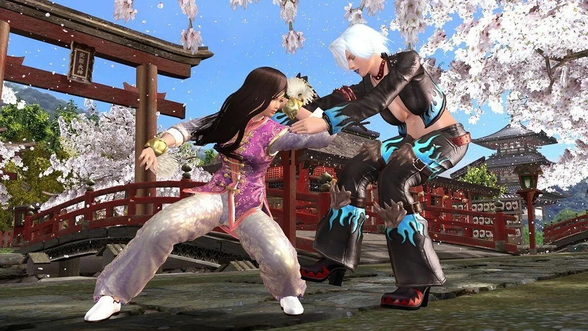 Скриншоты из Dead or Alive 4 / Картинка 40