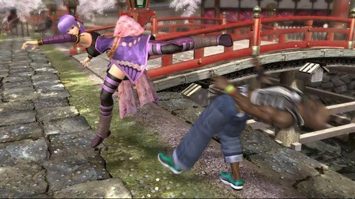 Скриншоты из Dead or Alive 4 / Картинка 83