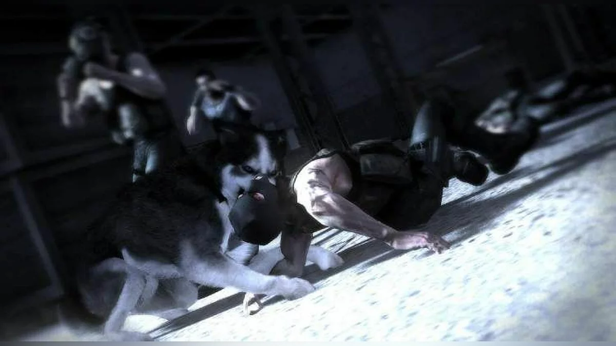 Скриншоты из Dead to Rights: Retribution / Картинка 24