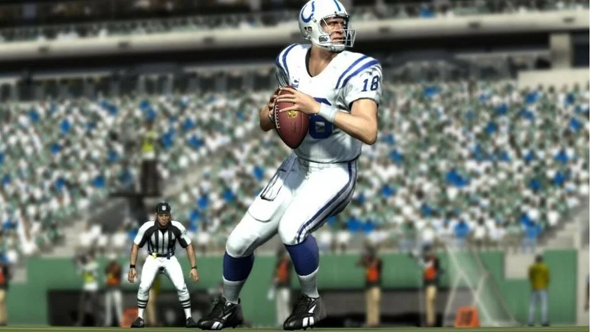 Скриншоты из Madden NFL 11 / Картинка 92