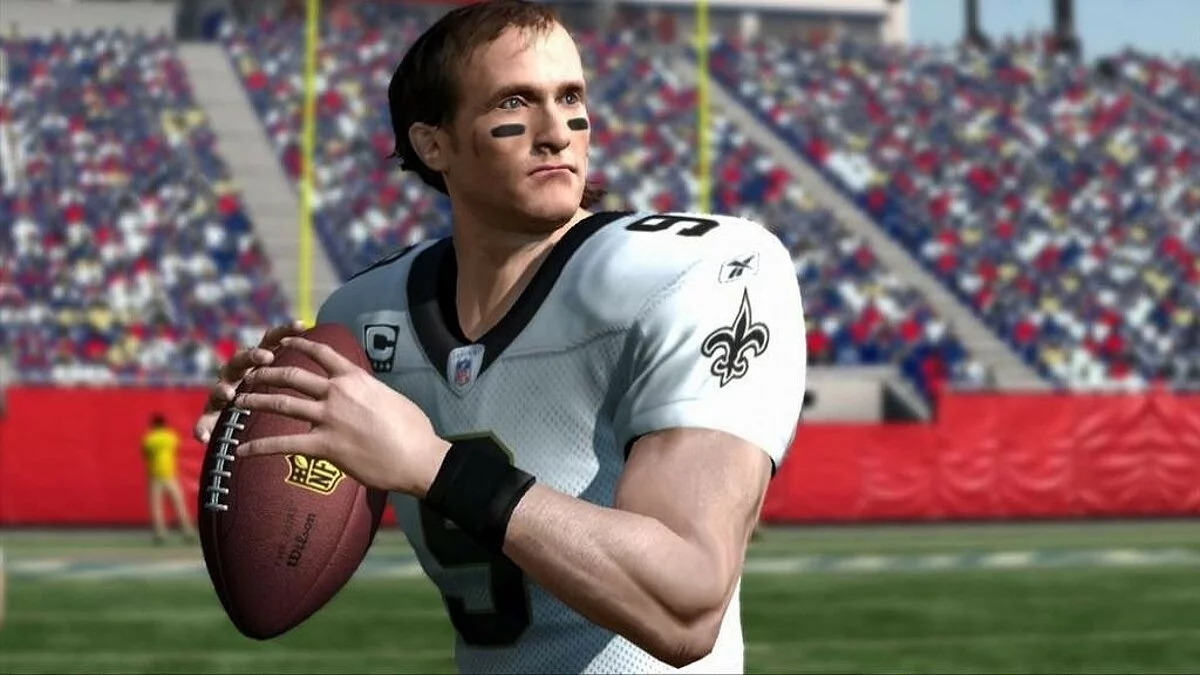 Скриншоты из Madden NFL 11 / Картинка 158