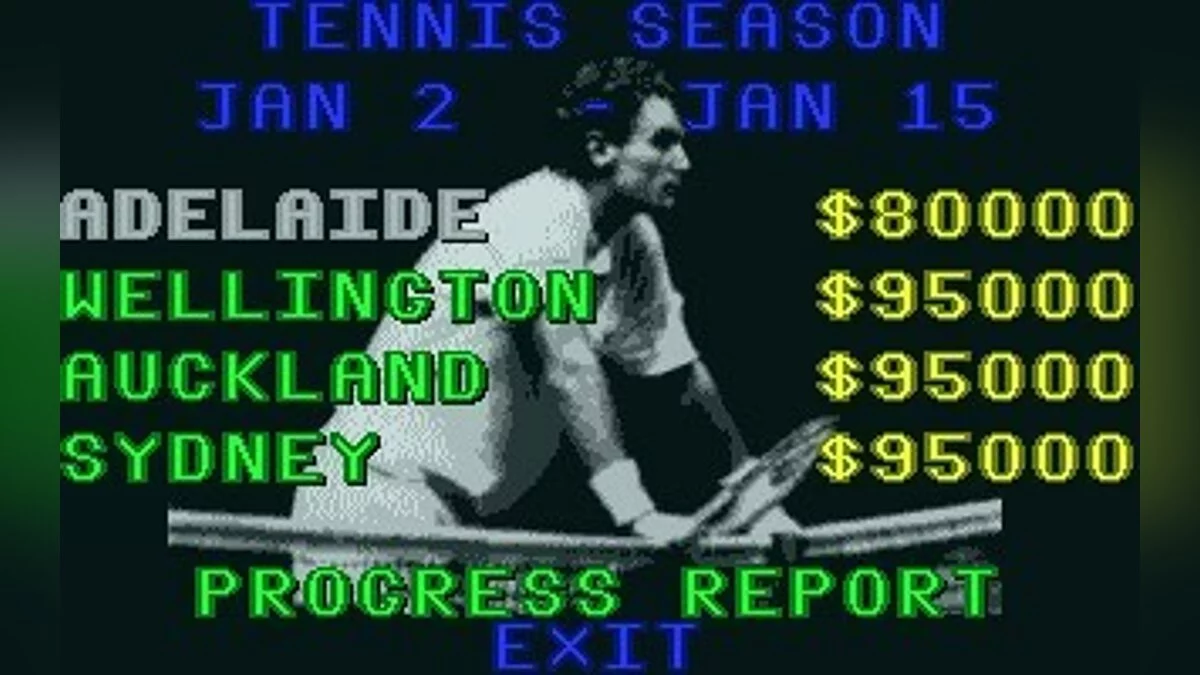 Скриншоты из International 3D Tennis / Картинка 28