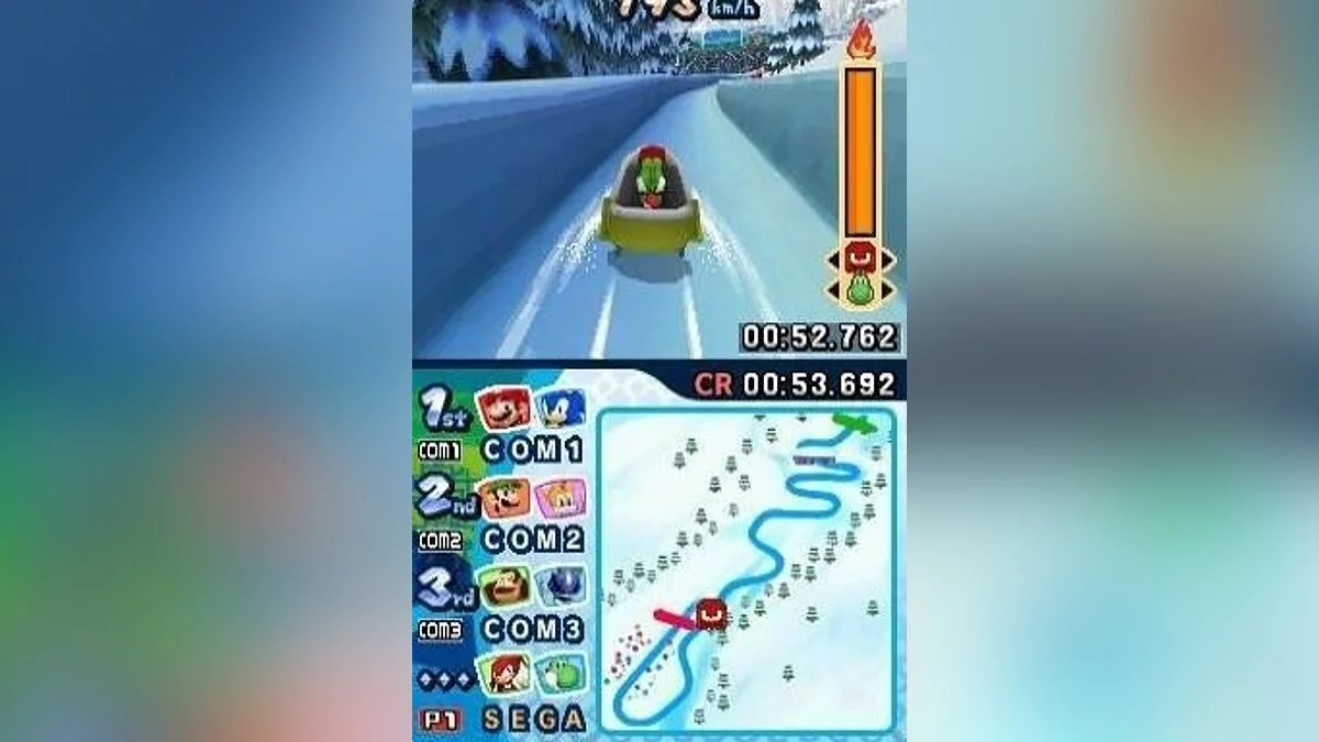 Скриншоты из Mario & Sonic at the Olympic Winter Games / Картинка 149