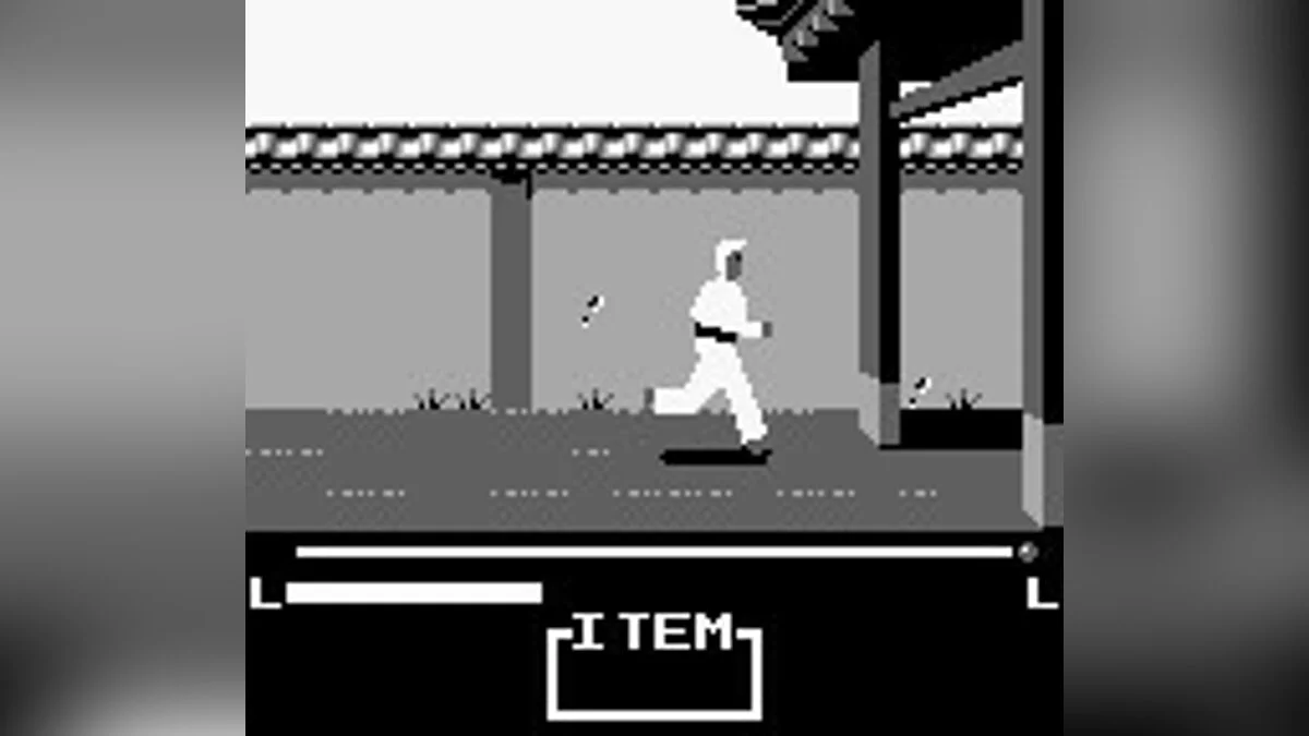 Скриншоты из Master Karateka / Картинка 11