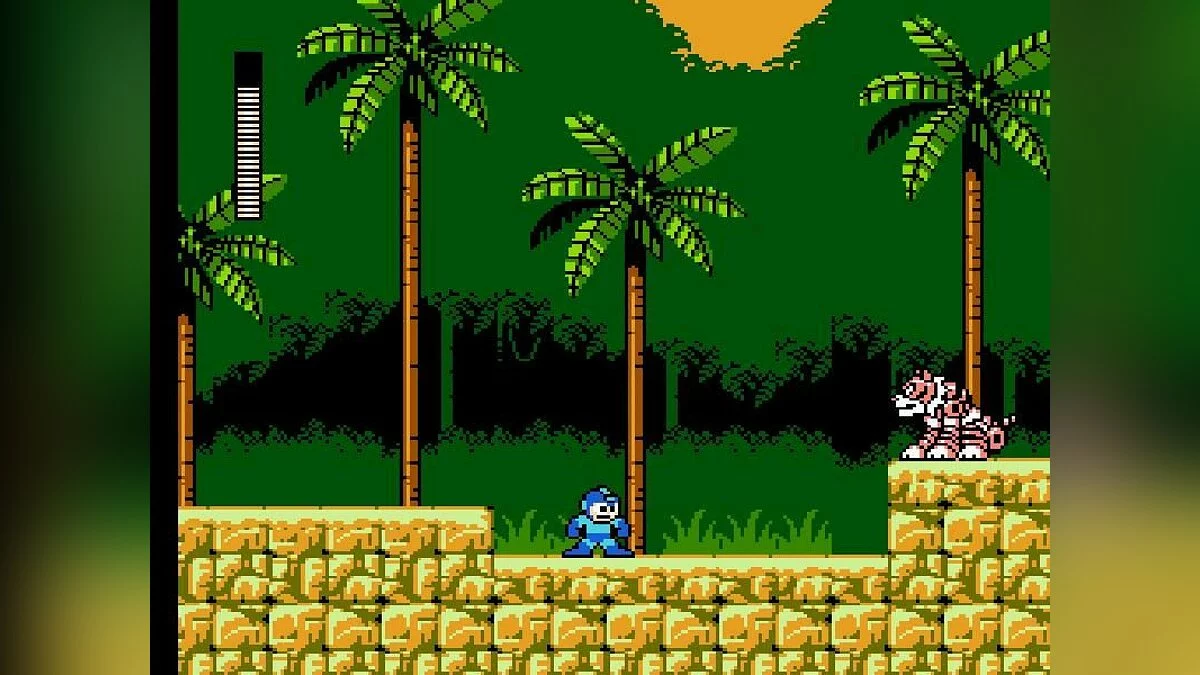 Скриншоты из Mega Man 5 / Картинка 24