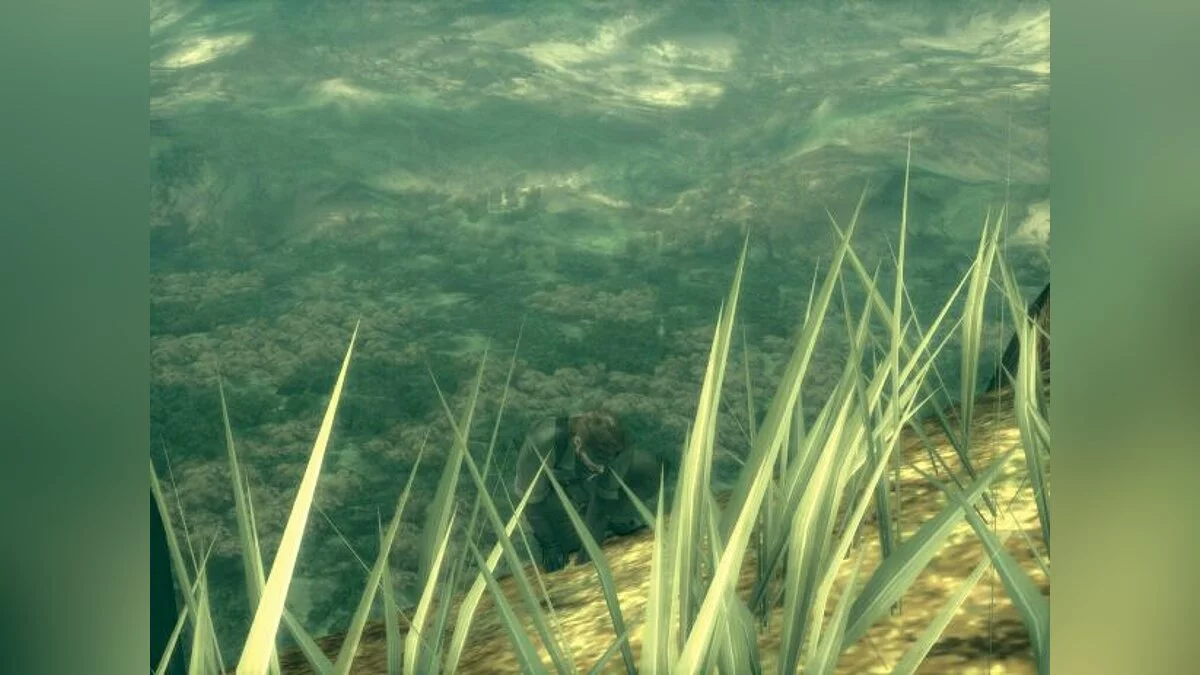 Скриншоты из Metal Gear Solid 3: Snake Eater / Картинка 23