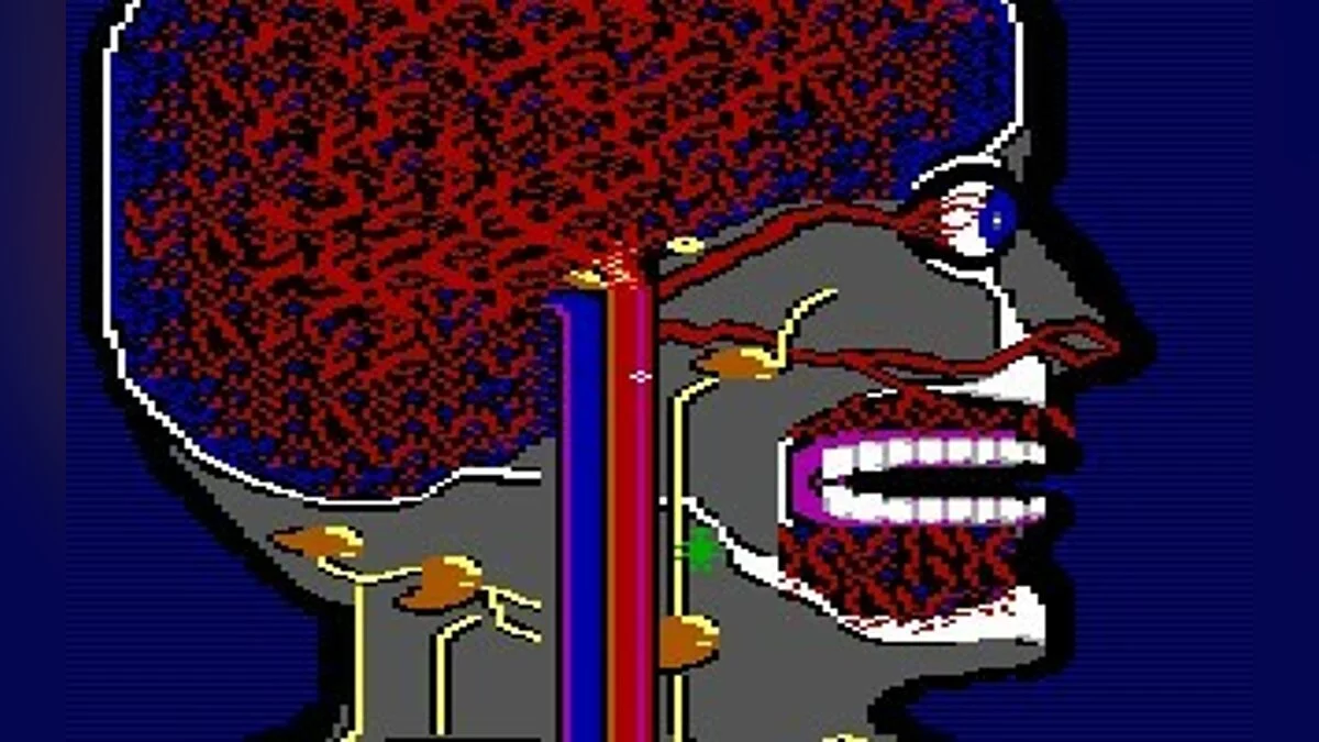 Скриншоты из Microsurgeon / Картинка 18