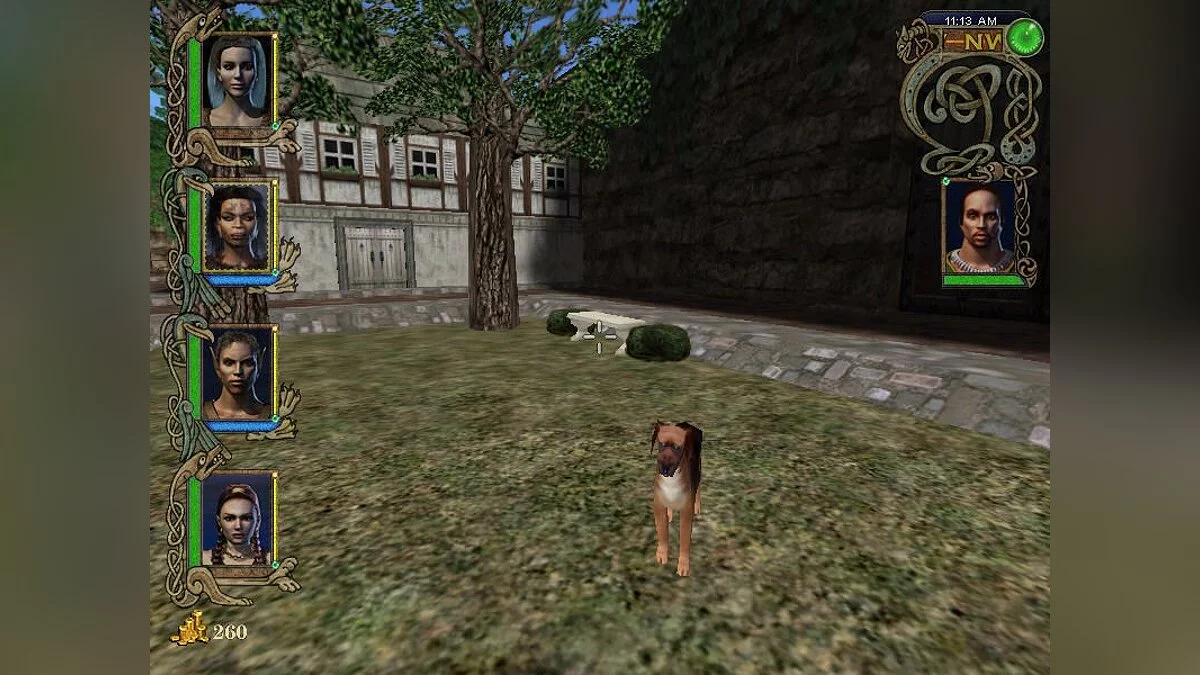 Скриншоты из Might and Magic 9 / Картинка 40