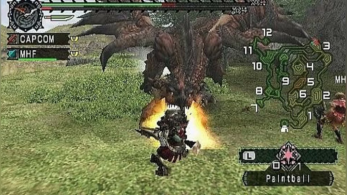 Скриншоты из Monster Hunter Freedom / Картинка 30