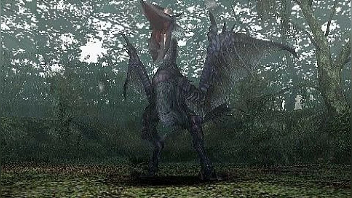 Скриншоты из Monster Hunter Freedom / Картинка 38