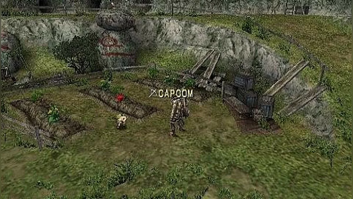 Скриншоты из Monster Hunter Freedom / Картинка 42