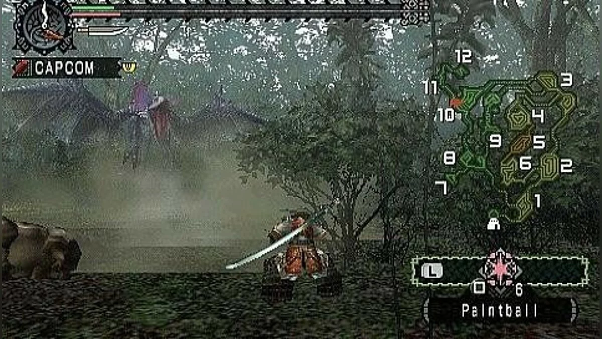 Скриншоты из Monster Hunter Freedom / Картинка 45