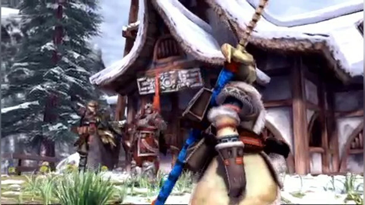 Скриншоты из Monster Hunter Freedom 2 / Картинка 30