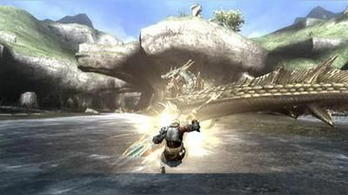 Скриншоты из Monster Hunter Tri / Картинка 21