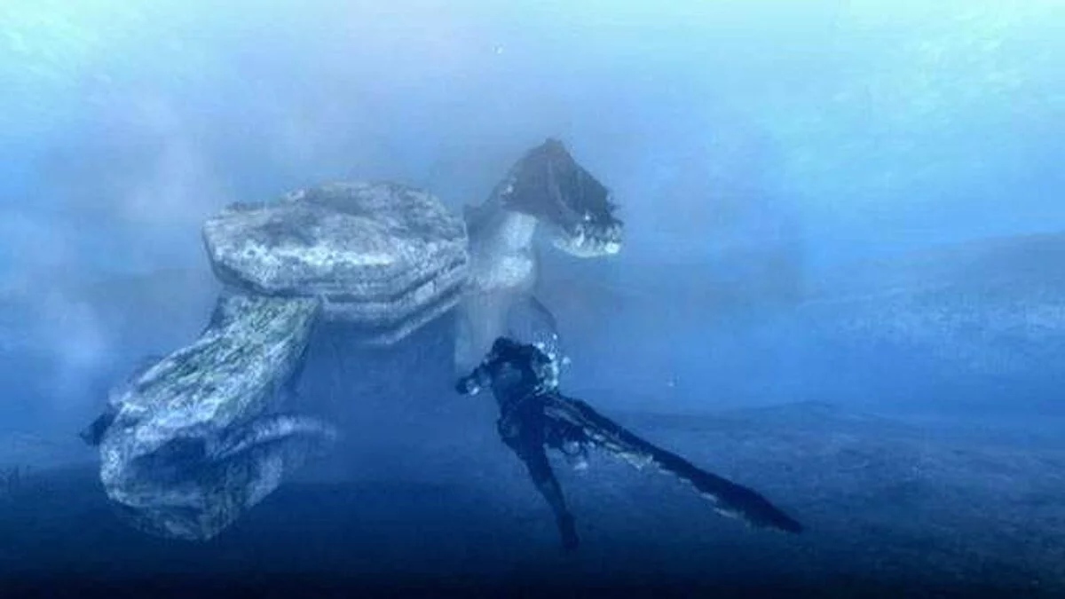 Скриншоты из Monster Hunter Tri / Картинка 28